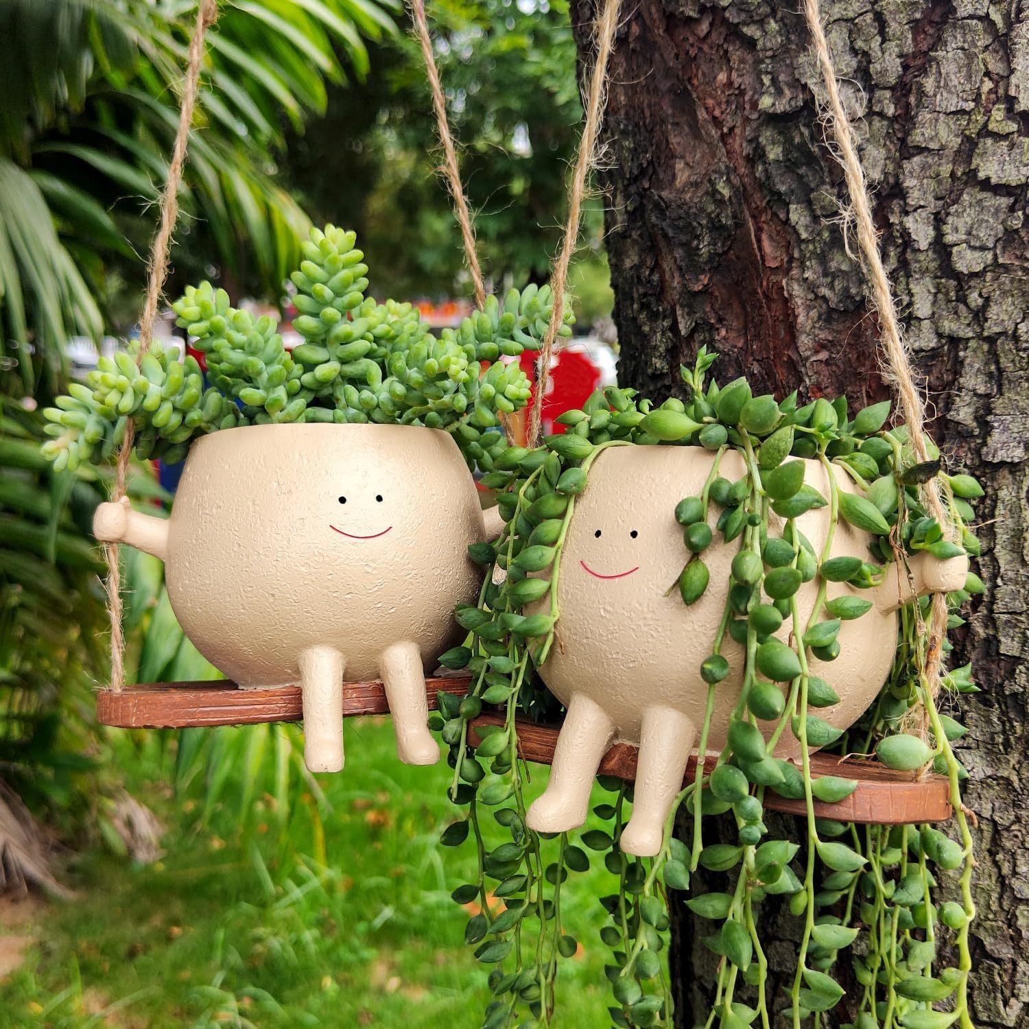 Swinging Face Planter